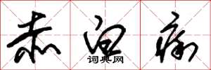 朱锡荣赤白痢草书怎么写