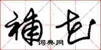 朱锡荣补花草书怎么写