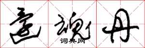 朱锡荣还魂丹草书怎么写