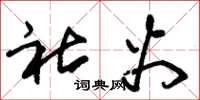 朱锡荣社火草书怎么写