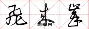 曾庆福飞来峰草书怎么写