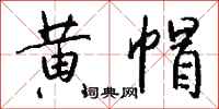 钱沛云黄帽行书怎么写
