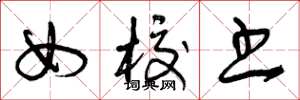 曾庆福女校书草书怎么写