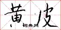 钱沛云黄皮行书怎么写