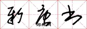 朱锡荣新唐书草书怎么写