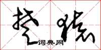 朱锡荣楚猿草书怎么写