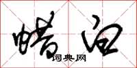 朱锡荣蜡白草书怎么写