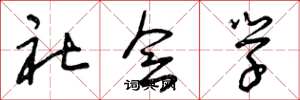 曾庆福社会学草书怎么写