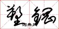 朱锡荣塑钢草书怎么写