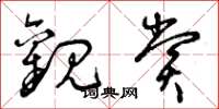 曾庆福观赏草书怎么写