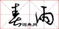 曾庆福春雨草书怎么写
