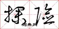 曾庆福探险草书怎么写