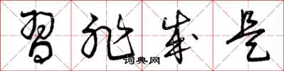 曾庆福习非成是草书怎么写