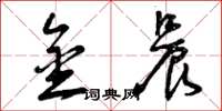 曾庆福金晨草书怎么写