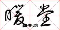 曾庆福暖堂草书怎么写
