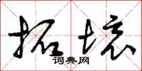 曾庆福拓境草书怎么写