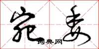 曾庆福宛委草书怎么写