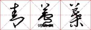 曾庆福青芦叶草书怎么写