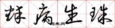 曾庆福蚌病生珠草书怎么写