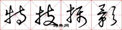 曾庆福特技摄影草书怎么写