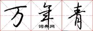 钱沛云万年青行书怎么写