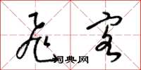 梁锦英飞客草书怎么写