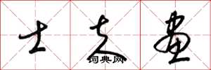 梁锦英士夫画草书怎么写