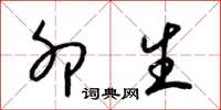 梁锦英卯生草书怎么写