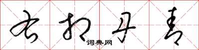 梁锦英右相丹青草书怎么写