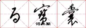 梁锦英百宝囊草书怎么写