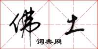 梁锦英佛土草书怎么写