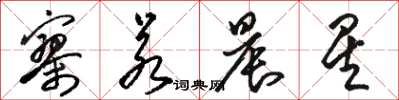 骆恒光寥若晨星草书怎么写