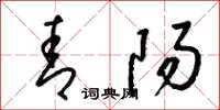 梁锦英青阳草书怎么写