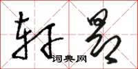 骆恒光轩昂草书怎么写
