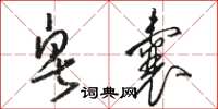 骆恒光皂囊草书怎么写