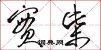 骆恒光实柴草书怎么写