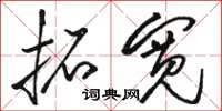 骆恒光拓宽草书怎么写