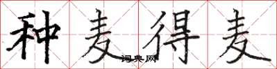 骆恒光种麦得麦楷书怎么写