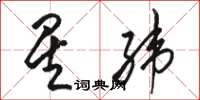 骆恒光星纬草书怎么写