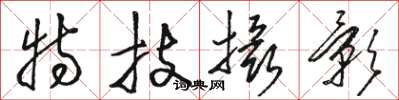 骆恒光特技摄影草书怎么写