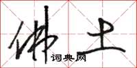 骆恒光佛土草书怎么写