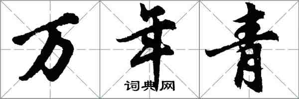 胡问遂万年青行书怎么写