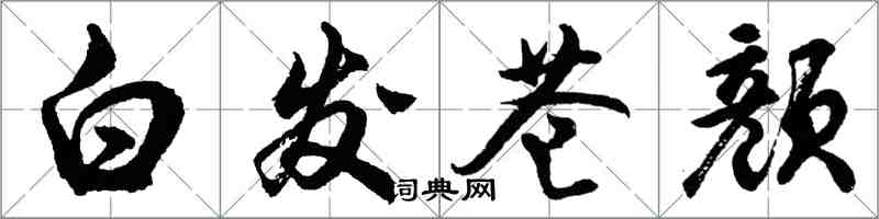胡问遂白发苍颜行书怎么写