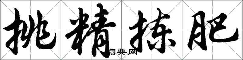 胡问遂挑精拣肥行书怎么写