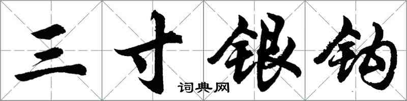 胡问遂三寸银钩行书怎么写