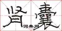 骆恒光肾囊隶书怎么写