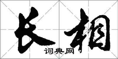 胡问遂长相行书怎么写