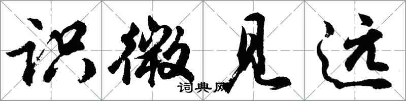 胡问遂识微见远行书怎么写