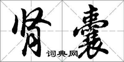胡问遂肾囊行书怎么写