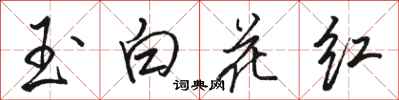 骆恒光玉白花红行书怎么写